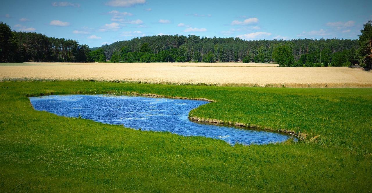 Staw retencyjny